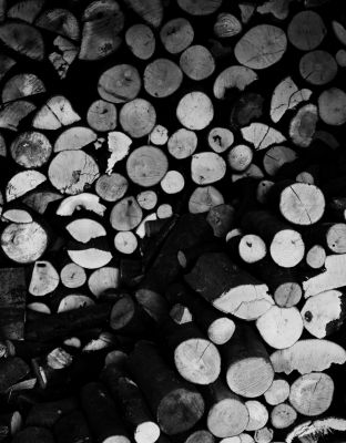 Lirikonfestova galerija / Ksenija Mikor / 21 pogledov na lirični avanturizem (7) 