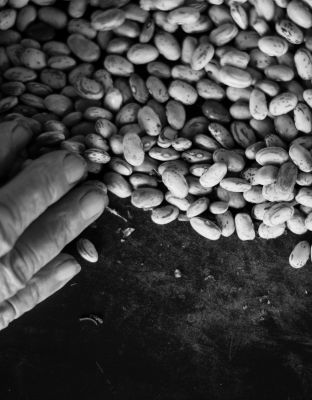 Lirikonfestova galerija / Ksenija Mikor / 21 pogledov na lirični avanturizem (13) 