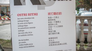 BIN_4679_1.jpg