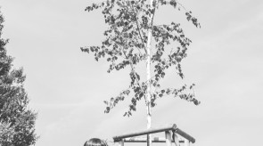 BIN_5159_1.jpg